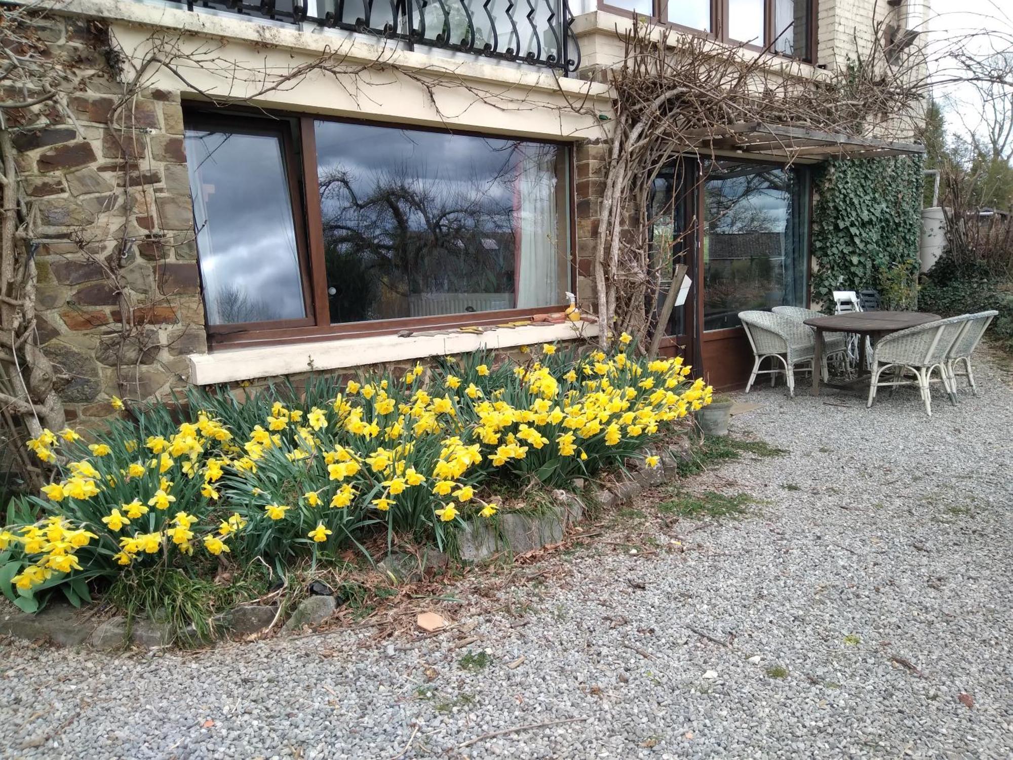 Villa Dinant La Bergeronnette Avec La Chaleur Du Feu De Bois Et Le Jardin Extérieur photo
