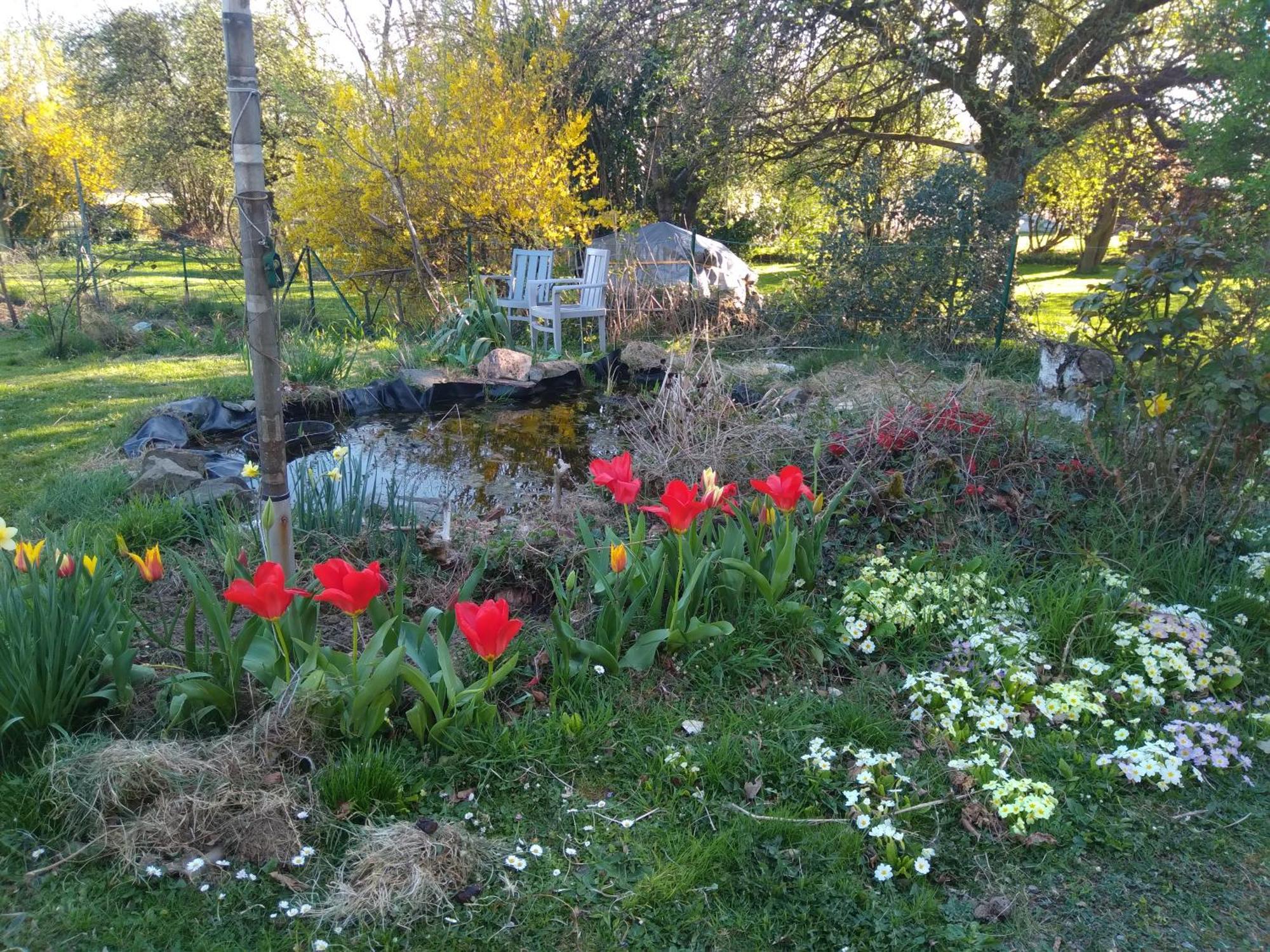 Villa Dinant La Bergeronnette Avec La Chaleur Du Feu De Bois Et Le Jardin Chambre photo