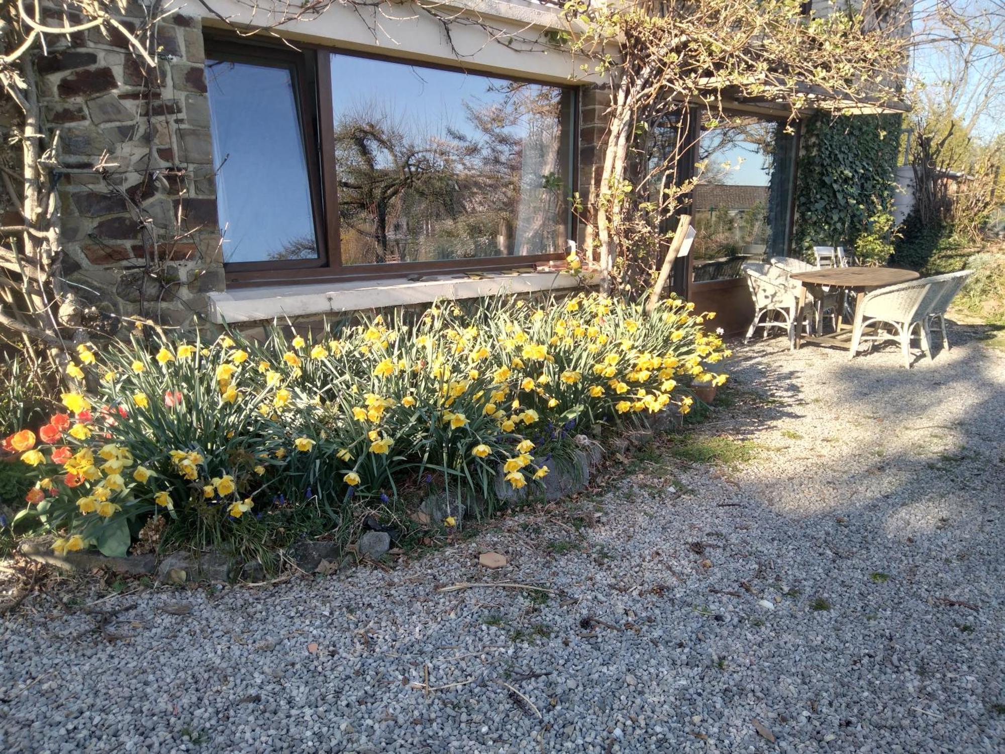 Villa Dinant La Bergeronnette Avec La Chaleur Du Feu De Bois Et Le Jardin Chambre photo
